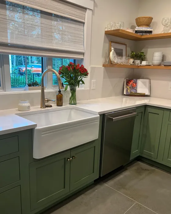 Benjamin Moore High Park kitchen cabinets paint review