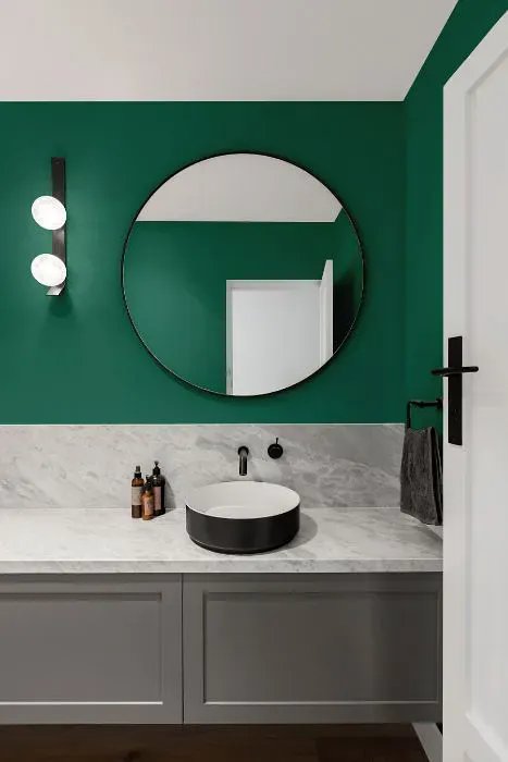 Benjamin Moore Highlands Green minimalist bathroom