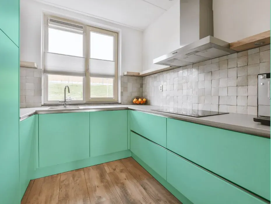 Benjamin Moore Hills of Ireland small kitchen cabinets
