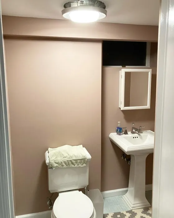 Benjamin Moore Hint of Mauve bathroom paint