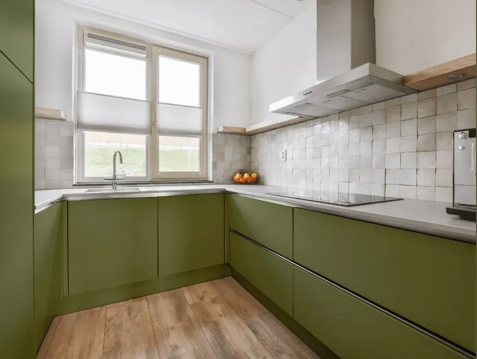 Benjamin Moore Home on the Range small kitchen cabinets