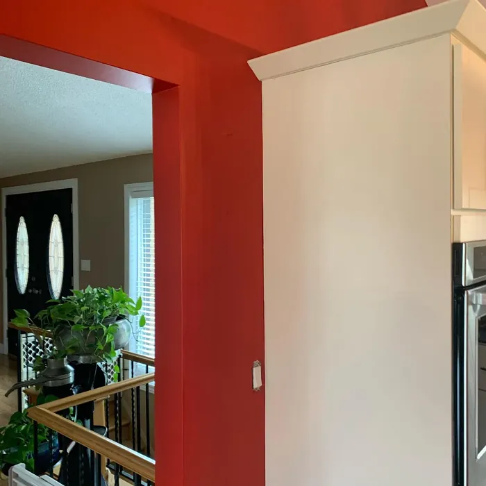 Benjamin Moore Hot Tamale wall paint color