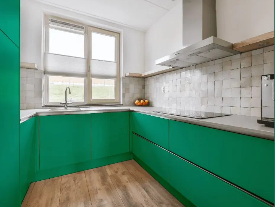 Benjamin Moore Hummingbird Green small kitchen cabinets