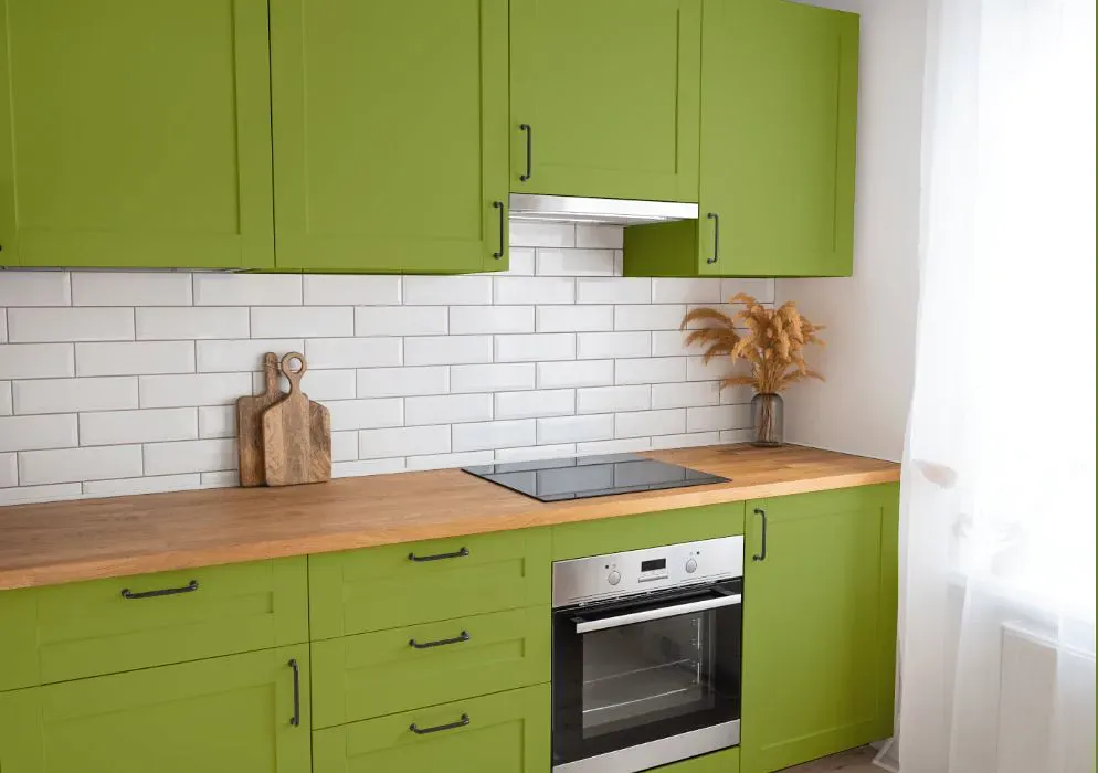 Benjamin Moore Huntington Green kitchen cabinets