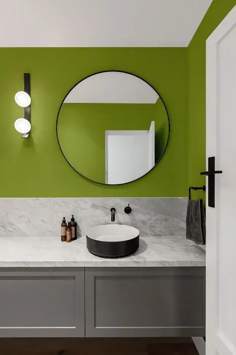 Benjamin Moore Huntington Green minimalist bathroom