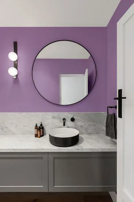 Benjamin Moore Hydrangea minimalist bathroom