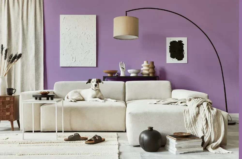 Benjamin Moore Hydrangea cozy living room