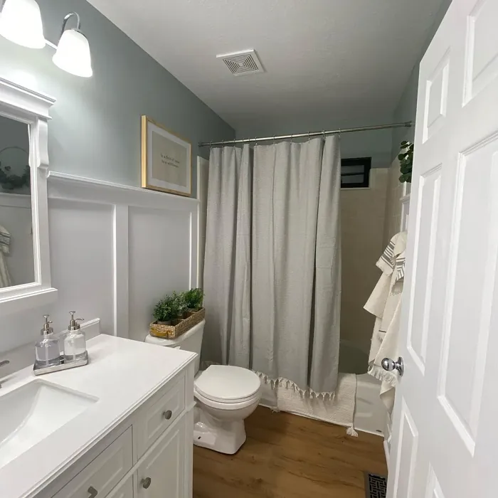 Benjamin Moore Iced Marble bathroom review