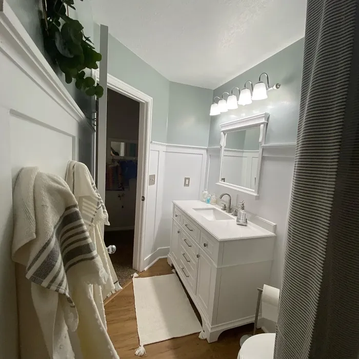 Benjamin Moore Iced Marble bathroom paint review