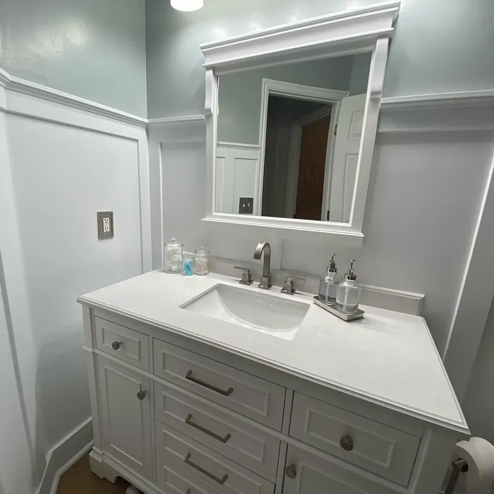 Benjamin Moore Iced Marble bathroom inspo