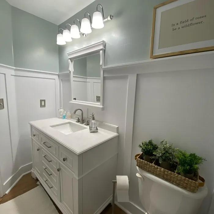 Benjamin Moore Iced Marble bathroom picture