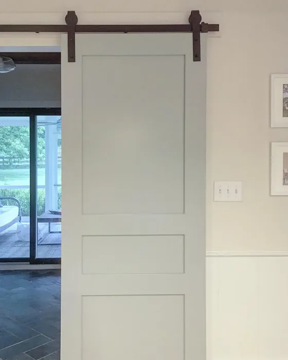 Benjamin Moore Iced Marble door color