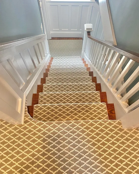 Benjamin Moore Iced Marble hallway color review