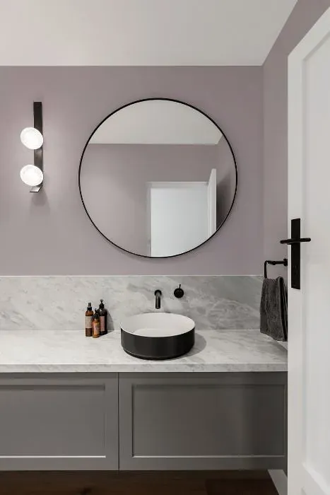 Benjamin Moore Iced Mauve minimalist bathroom