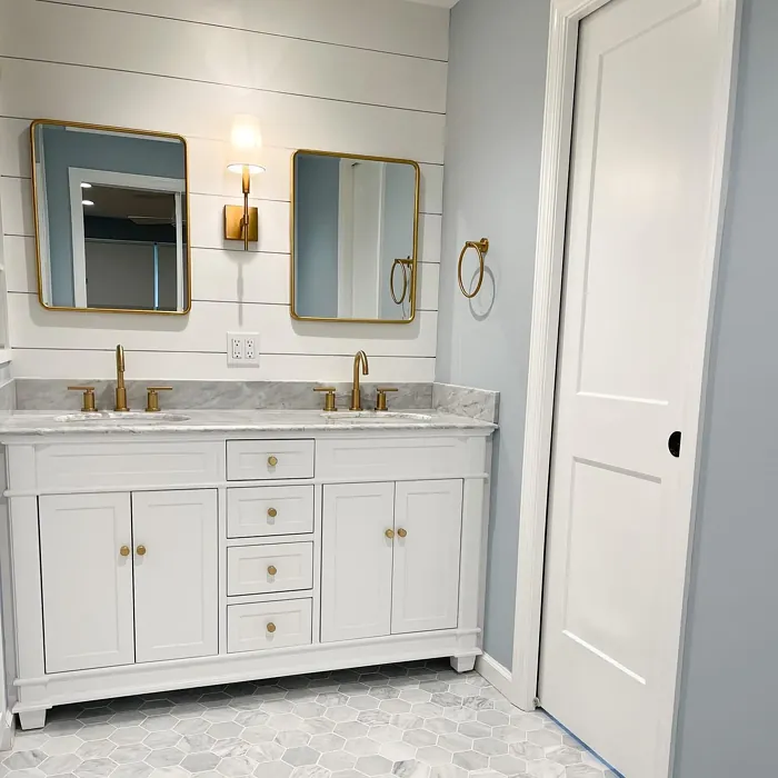 Benjamin Moore Iced Slate bathroom color