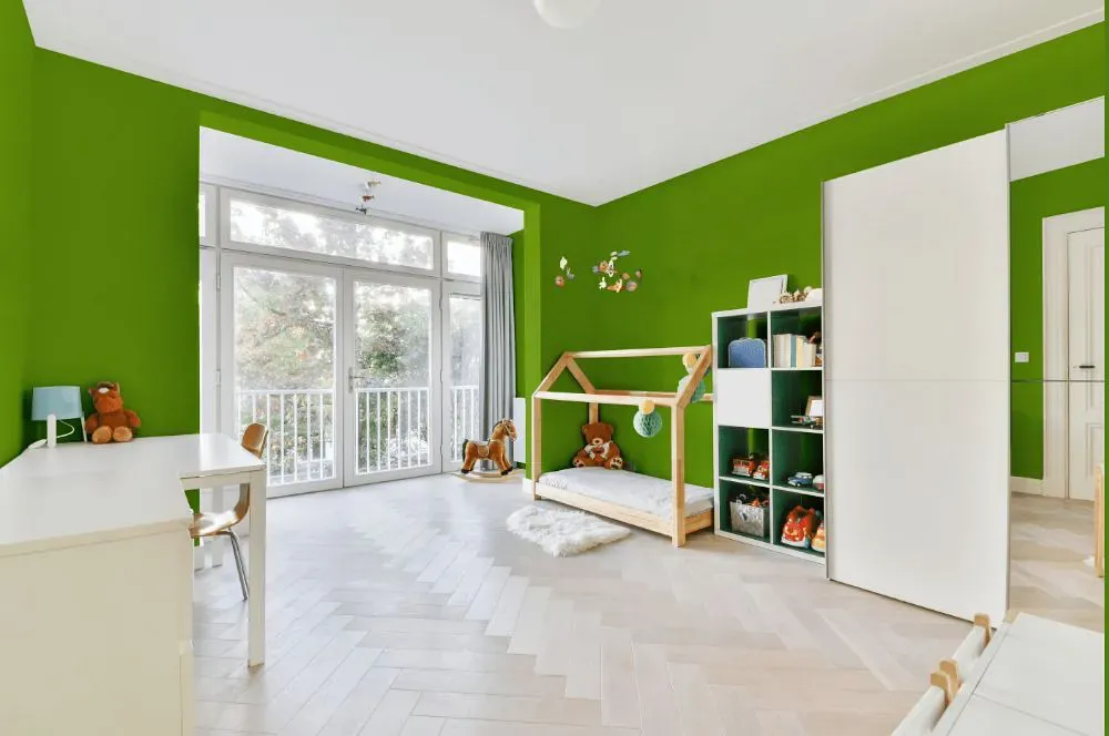 Benjamin Moore Iguana Green kidsroom interior, children's room