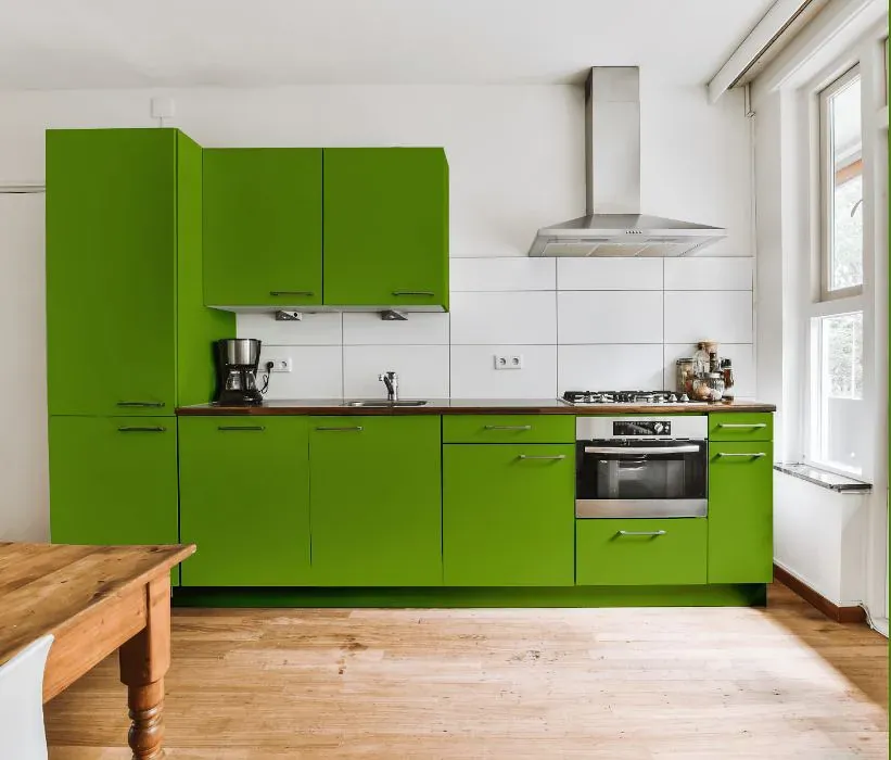 Benjamin Moore Iguana Green kitchen cabinets