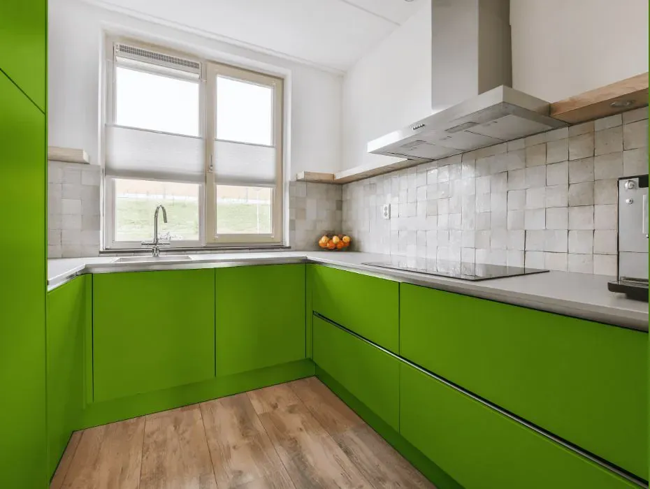 Benjamin Moore Iguana Green small kitchen cabinets