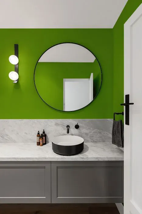 Benjamin Moore Iguana Green minimalist bathroom