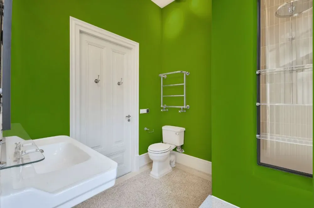 Benjamin Moore Iguana Green bathroom
