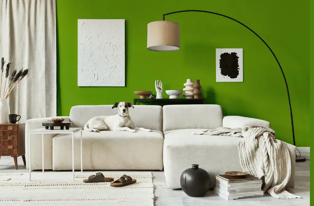 Benjamin Moore Iguana Green cozy living room