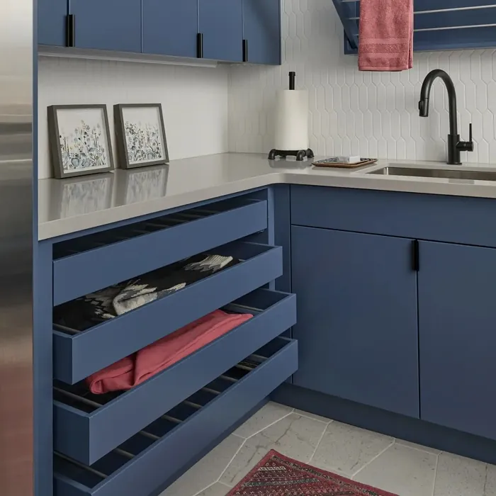 Benjamin Moore Indi Go-Go kitchen cabinets color