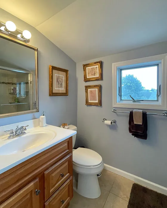 Benjamin Moore Instinct bathroom color paint