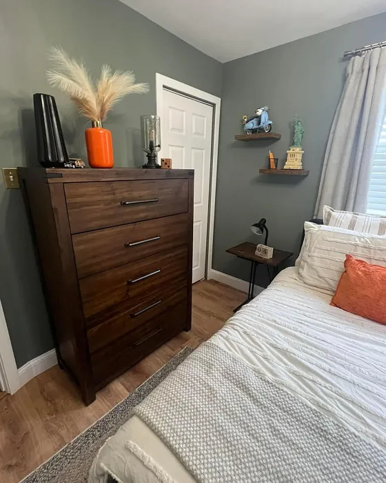 Benjamin Moore Intrigue bedroom photo