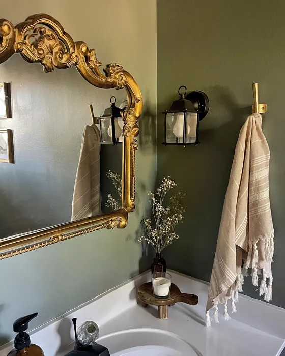 Benjamin Moore Intrigue bathroom color review