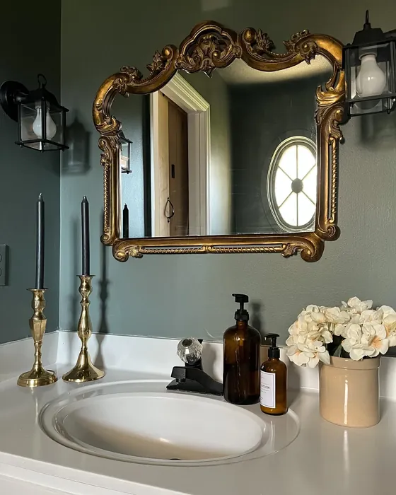 Benjamin Moore Intrigue bathroom inspiration