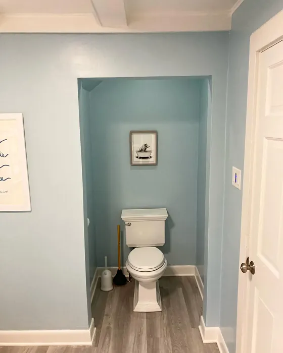 Benjamin Moore CSP-610 bathroom color