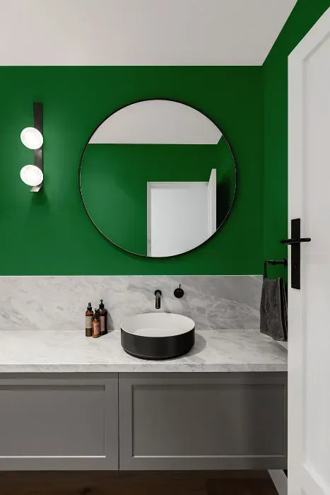 Benjamin Moore Irish Moss minimalist bathroom