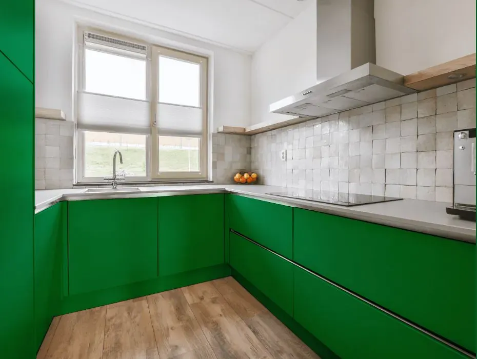Benjamin Moore Jade Green small kitchen cabinets