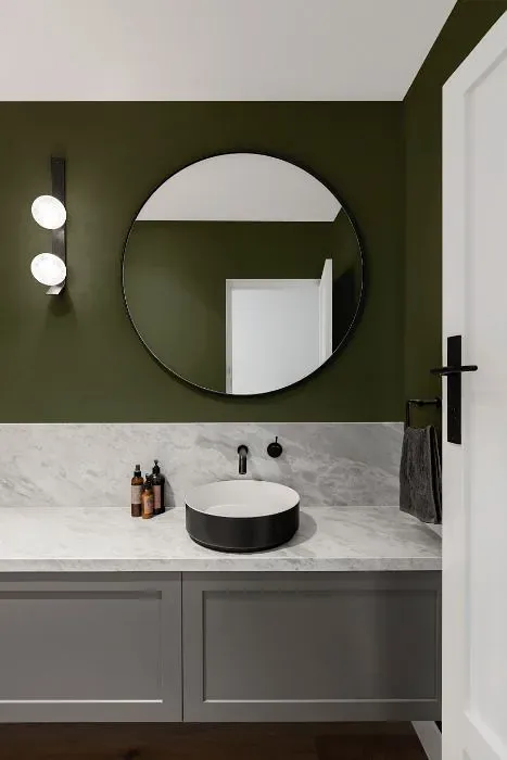 Benjamin Moore Jade Romanesque minimalist bathroom