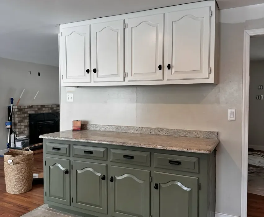 Jade Romanesque kitchen cabinets 
