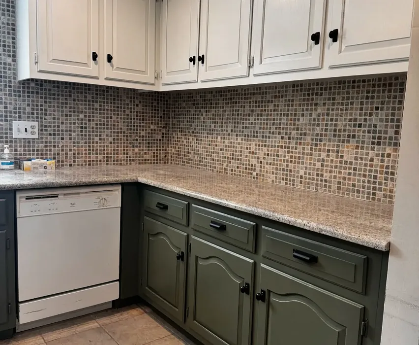 Jade Romanesque kitchen cabinets color