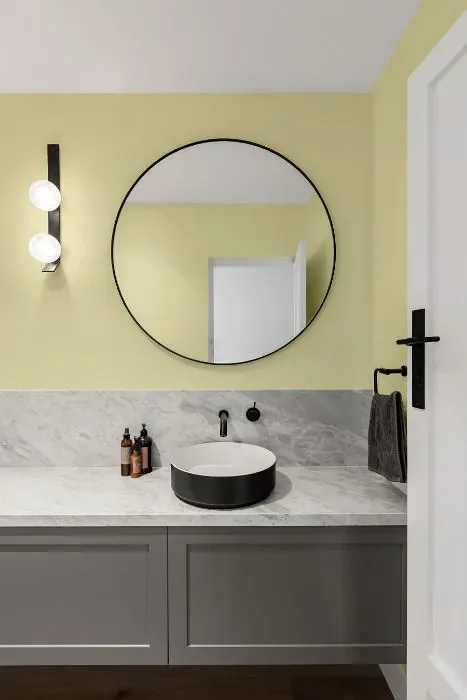 Benjamin Moore Jasper Opal minimalist bathroom