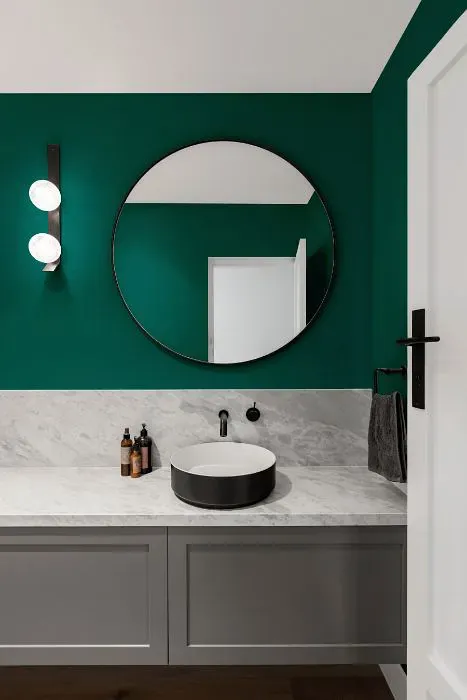 Benjamin Moore Juniper minimalist bathroom