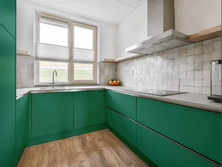 Benjamin Moore Juniper Green small kitchen cabinets