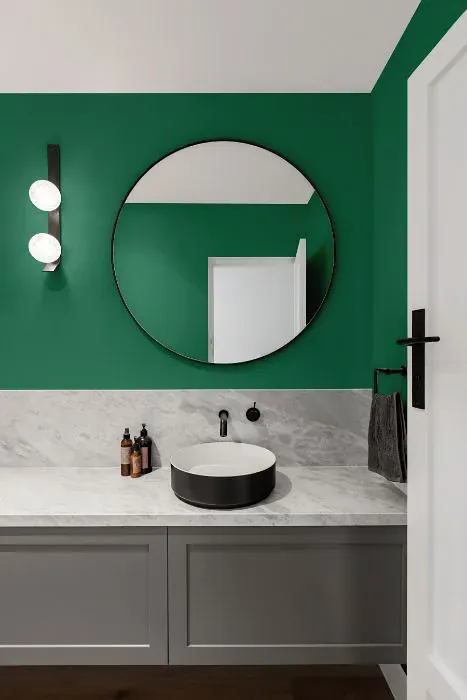 Benjamin Moore Juniper Green minimalist bathroom
