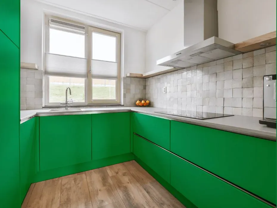 Benjamin Moore Kelly Green small kitchen cabinets