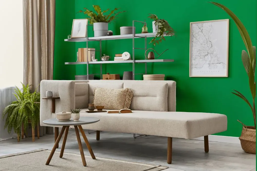 Benjamin Moore Kelly Green living room