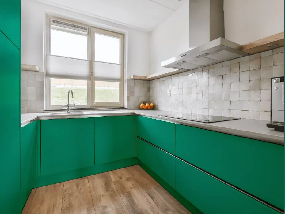 Benjamin Moore Kelp Forest Green small kitchen cabinets