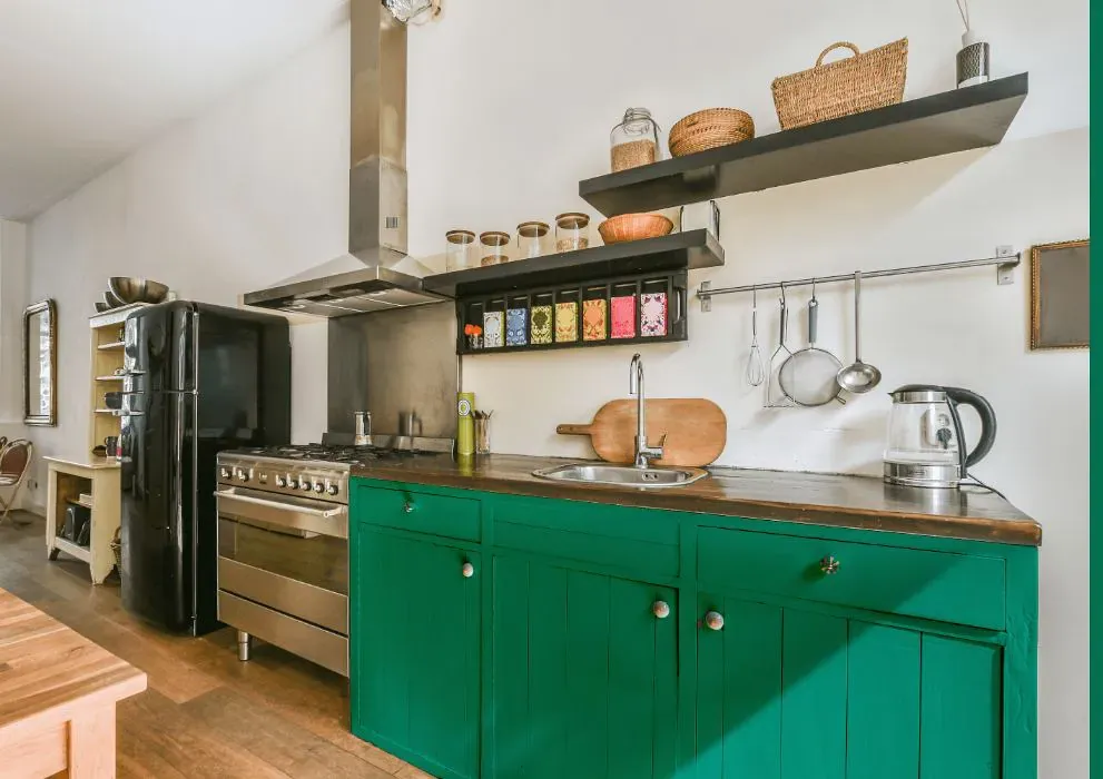 Benjamin Moore Kelp Forest Green kitchen cabinets