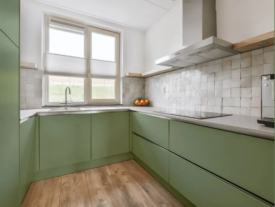 Benjamin Moore Kennebunkport Green small kitchen cabinets