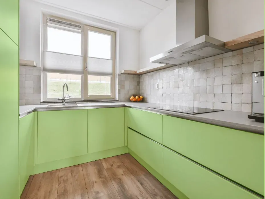 Benjamin Moore Key Lime small kitchen cabinets