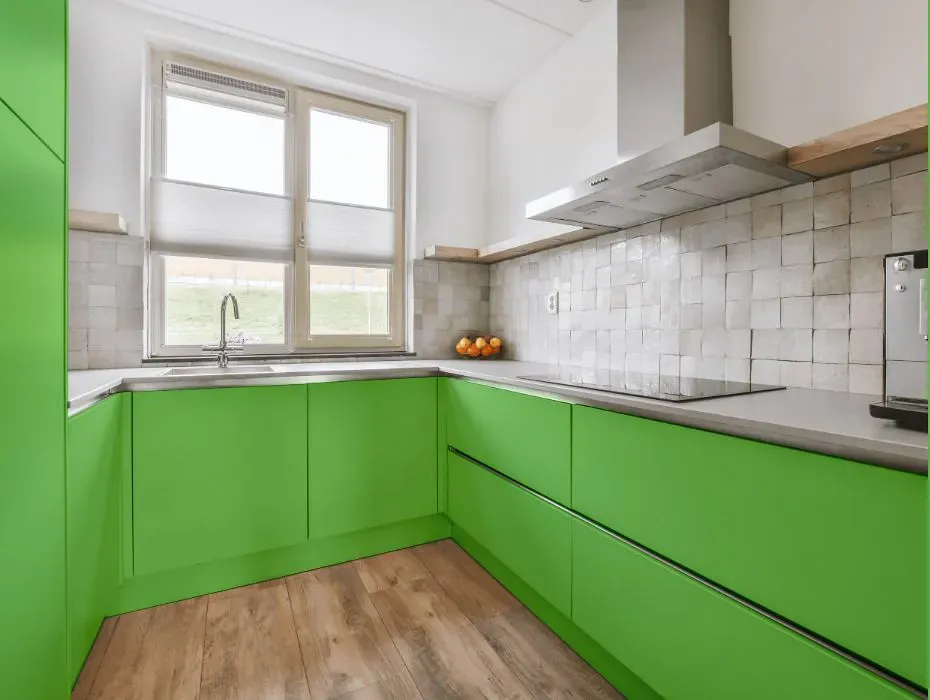 Benjamin Moore Killala Green small kitchen cabinets