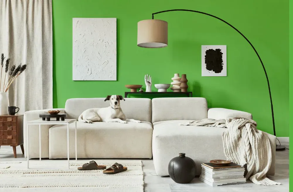 Benjamin Moore Killala Green cozy living room