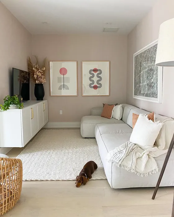 Benjamin Moore Kitten Whiskers living room 