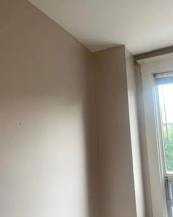 Benjamin Moore Bone China wall paint 